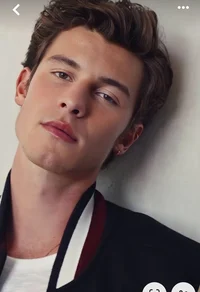 Shawn Mendes 