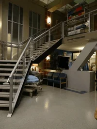 Greys Anatomy Set