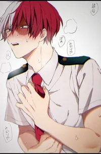 Shoto Todoroki 