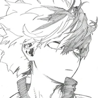 MHA - Shoto Todoroki