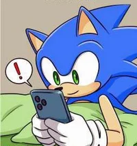 Sonic sleepover