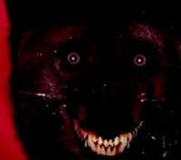 Black Shuck