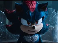 Shadow the Hedgehog