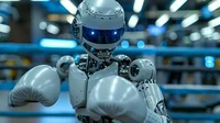 Boxing Robot