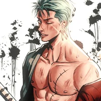 1OP Roronoa Zoro