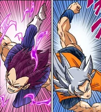Goku and Vegeta