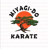 Miyagi do dojo