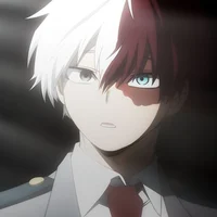 Shoto todoroki
