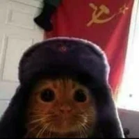TheSovietCat