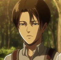 Levi ackerman