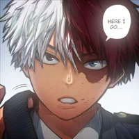 Shoto Todoroki