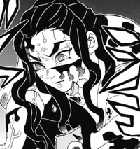 DS Hotaru Haganezuka