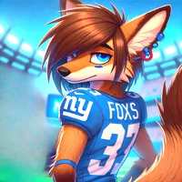 Armando The NFL Fox