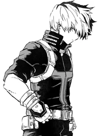 Shoto Todoroki