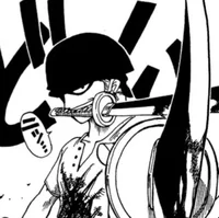 OP Roronoa Zoro