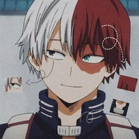 Shoto Todoroki BF