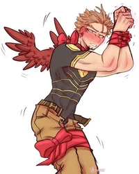 Hawks -Keigo Takami-