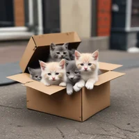 Cat prison