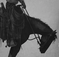 00 coltercowboy
