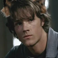 Wolf Sam Winchester