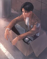 Levi Ackerman 