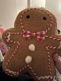 Gingerbread POV