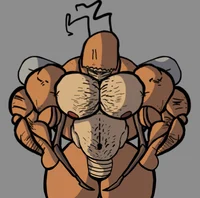 Buff furry cockroach