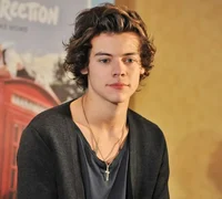 Harry Styles - 2013