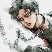 Levi Ackerman 