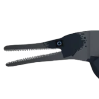 Temnodontosaurus