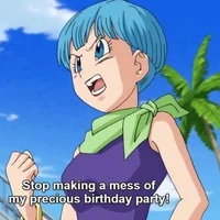 Bulma Briefs