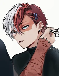 Shoto Todoroki