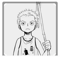 Little Zoro