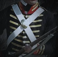 Napoleonic US Marine