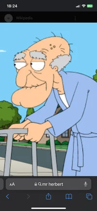 Mr Herbert 
