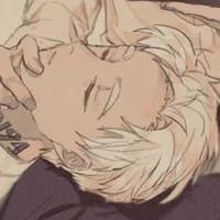 Norman-amiga especia