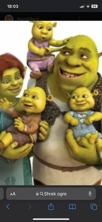 SHREK AND FIONA
