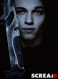 Matt Sturniolo 