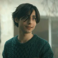 Aidan gallagher 