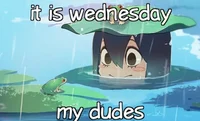 Tsuyu Asui -Frogge-