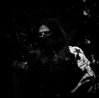 THE WINTER SOLDIER