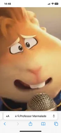 Professor marmalade 