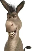 Donkey