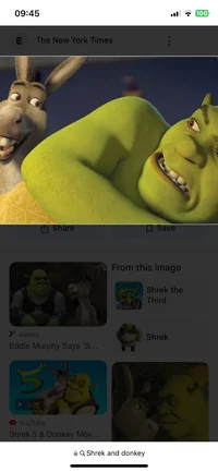 Shrek and Donkey 