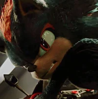 Shadow the Hedgehog