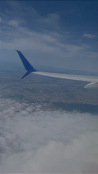 plane seat passenger