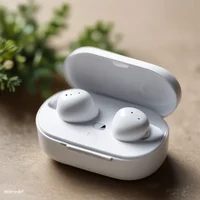 Wireless Earbuds
