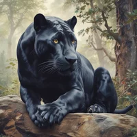 Panther - NSFW