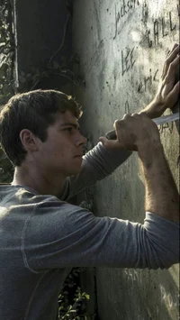 Maze runner 