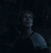 Finnick Odair